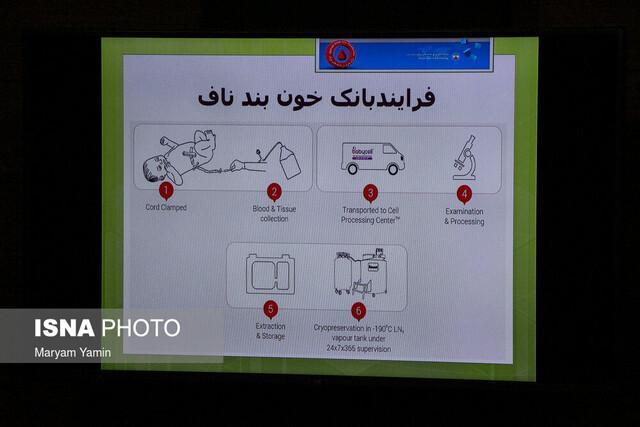 نشست خبری مدیرعامل شرکت بن یاخته های رویان