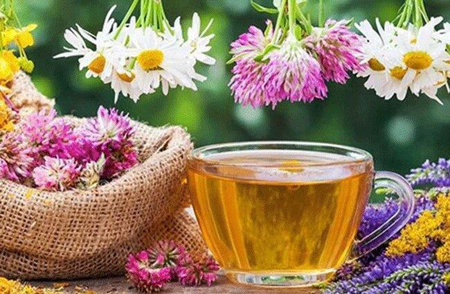 غذاهای طبع گرم سیستم ایمنی را تقویت می کند؟ غذاهای طبع گرم سیستم ایمنی را تقویت می نماید؟