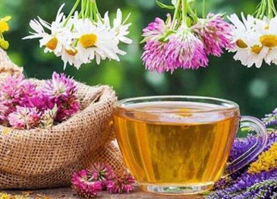 غذاهای طبع گرم سیستم ایمنی را تقویت می نماید؟
