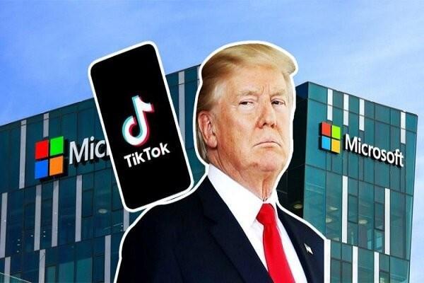 کارمندان مایکروسافت مخالف خرید تیک تاک