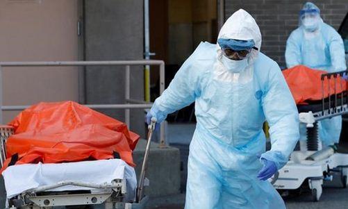شمار فوتی های کرونا در آمریکا به 268 هزار نفر رسید شمار فوتی های کرونا در آمریکا به 268 هزار نفر رسید