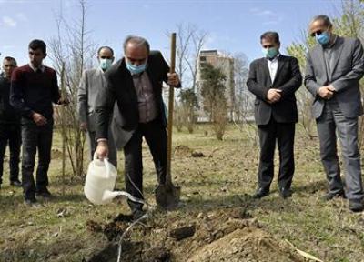 کاشت 250 اصله نهال در دانشگاه مازندران