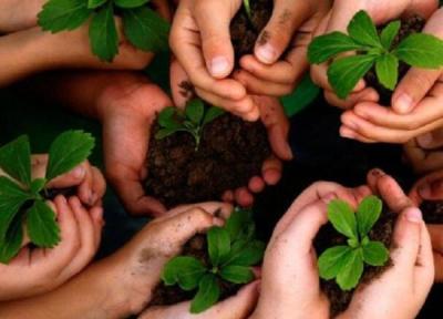 اجرای 20 طرح ملی برای حفاظت از محیط زیست