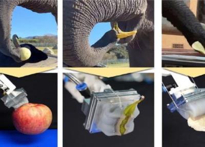 ساخت دست رباتیک با توجه به خرطوم فیل
